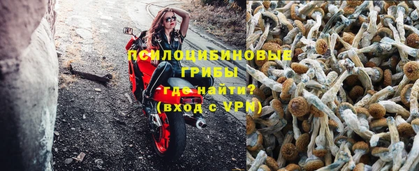 тгк Абинск