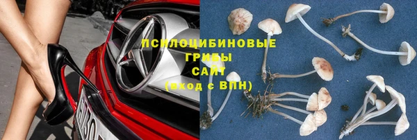 бошки Абаза