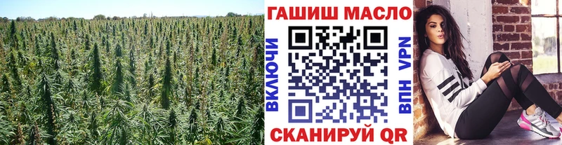 ТГК вейп с тгк  мориарти клад  Усолье 