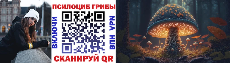 Псилоцибиновые грибы мухоморы hydra вход Усолье